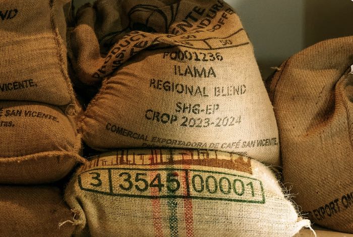 Green coffee beans at the Peoples Coffee roastery